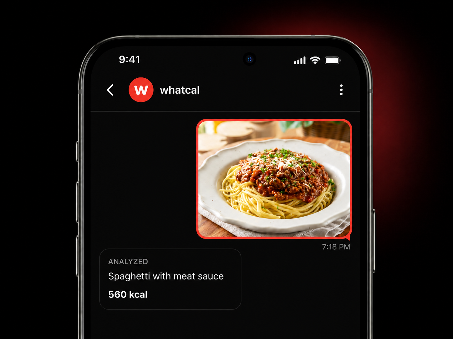 whatcal chat showing a photo of spaghetti analyzed at 560 kcal